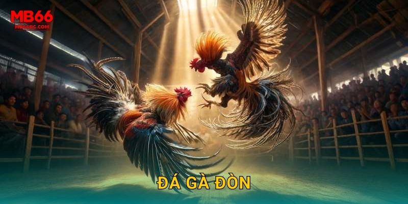 Đá Gà Đòn Mb66 bg - Chiêu Thức Quyết Định 1 Đá Gà Đòn Mb66 bg – Chiêu Thức Quyết Định