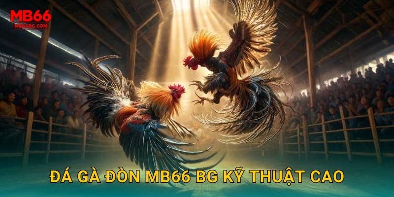 Đá Gà Đòn Mb66 bg - Chiêu Thức Quyết Định 2 Đá gà đòn mb66 bg kỹ thuật cao