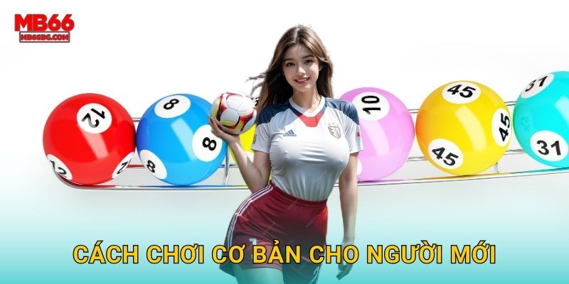 Cách chơi cơ bản cho người mới
