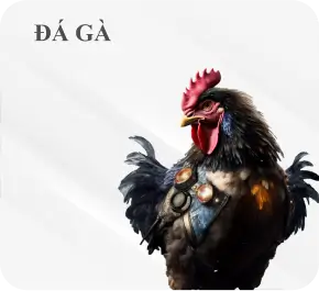 imgi 144 f03c0baecd60f54a8d4395295a8092af